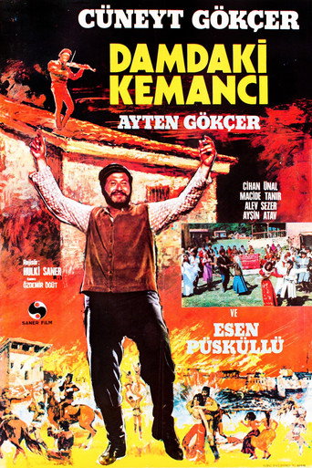 Póster de Damdaki Kemancı
