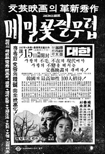 Póster de 메밀꽃 필 무렵