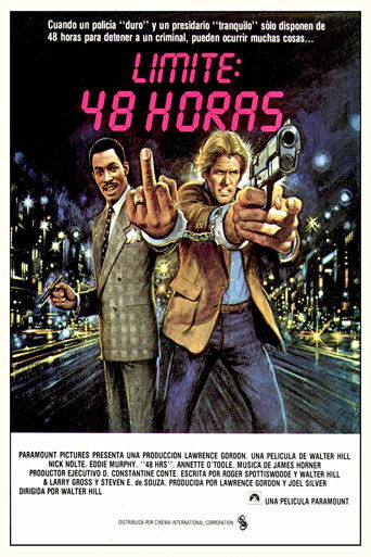 Póster de 48 horas