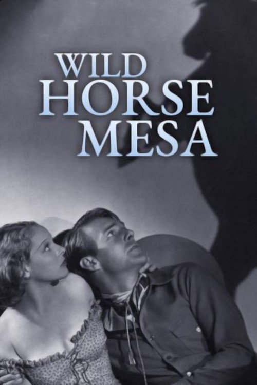 Póster de Wild Horse Mesa