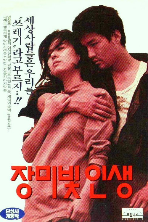 Póster de 장미빛 인생
