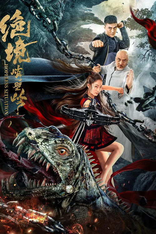 Póster de 武神苏乞儿之黄金海盗