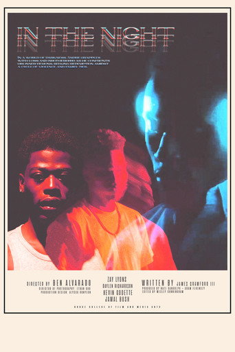 Póster de In The Night