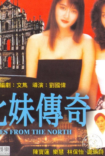 Póster de 來自北方的壞人