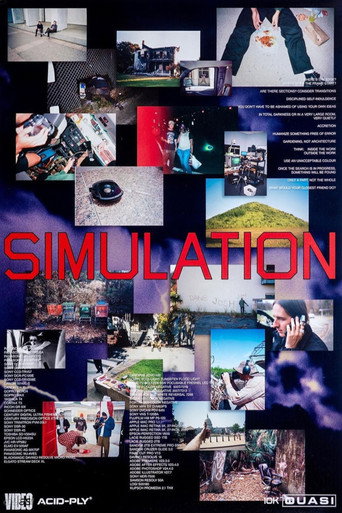 Póster de Quasi Skateboards - Simulation