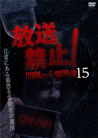 Póster de 放送禁止！問題の心霊映像 15