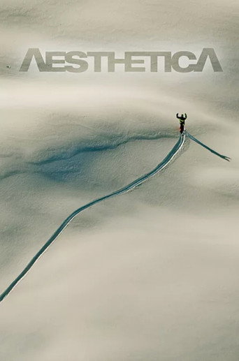 Póster de Aesthetica