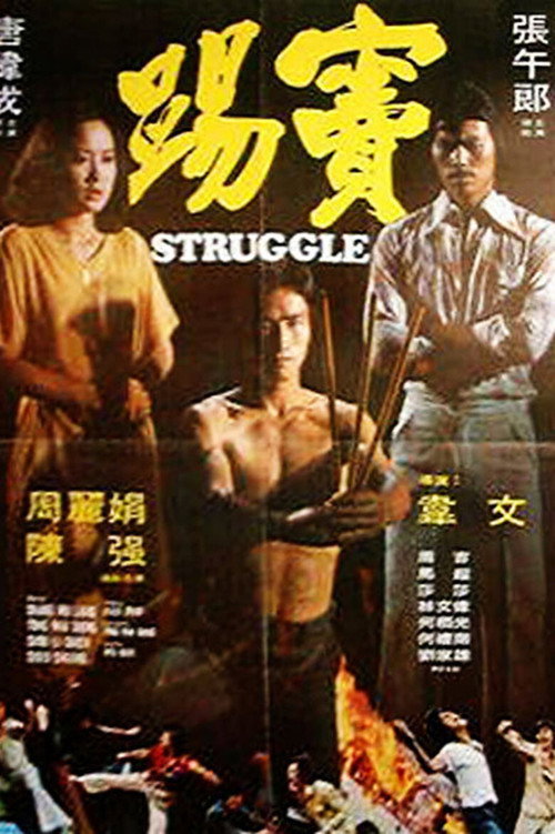 Póster de 踢竇