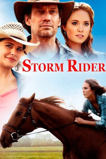 Póster de Storm Rider