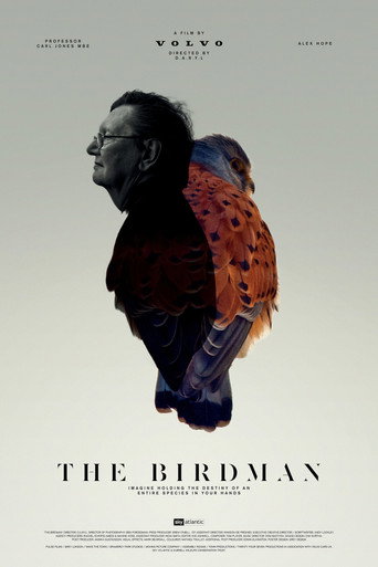 Póster de The Birdman