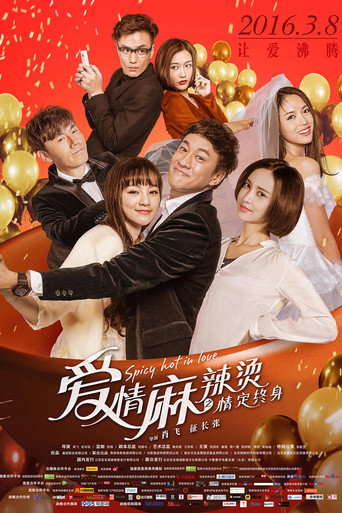 Póster de 爱情麻辣烫之情定终