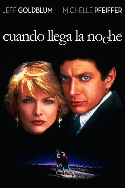 Póster de Into the Night