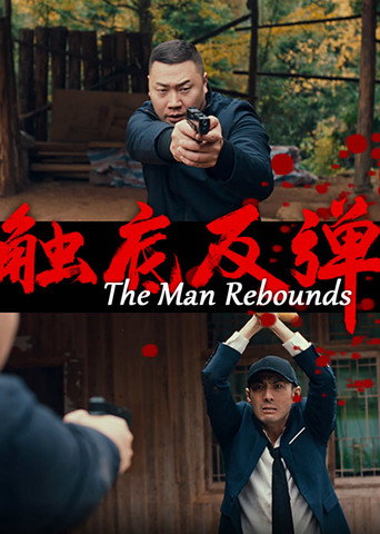 Póster de 触底反弹