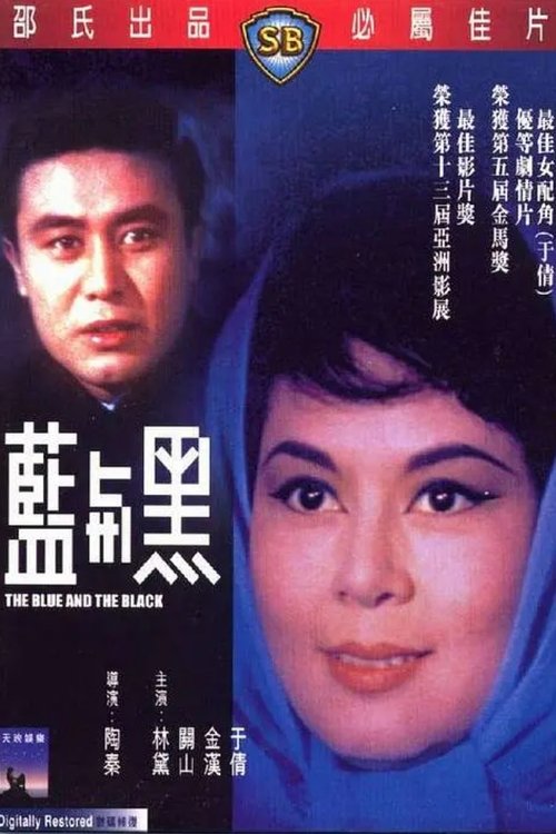 Póster de 藍與黑