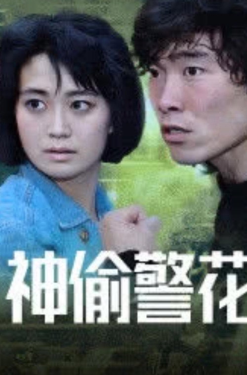 Póster de 神偷警花