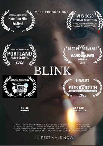 Póster de Blink