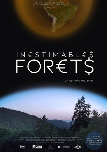 Póster de Inestimables forêts