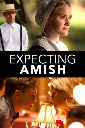 Póster de Expecting Amish
