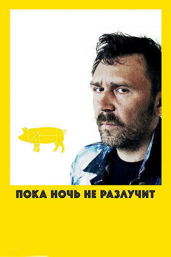 Póster de Пока ночь не разлучит