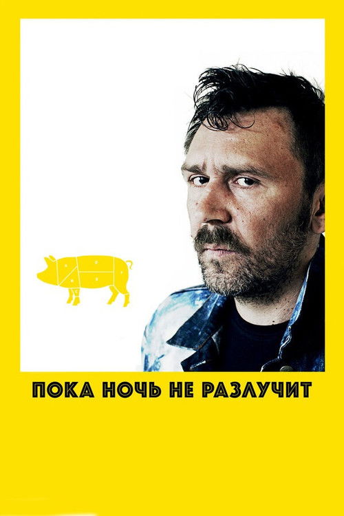 Póster de Пока ночь не разлучит