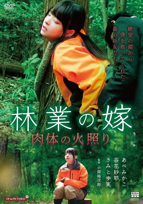 Póster de よがりの森 火照った女たち