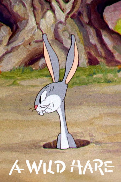 Póster de A Wild Hare