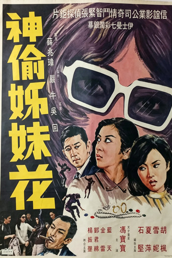 Póster de 神偷姊妹花