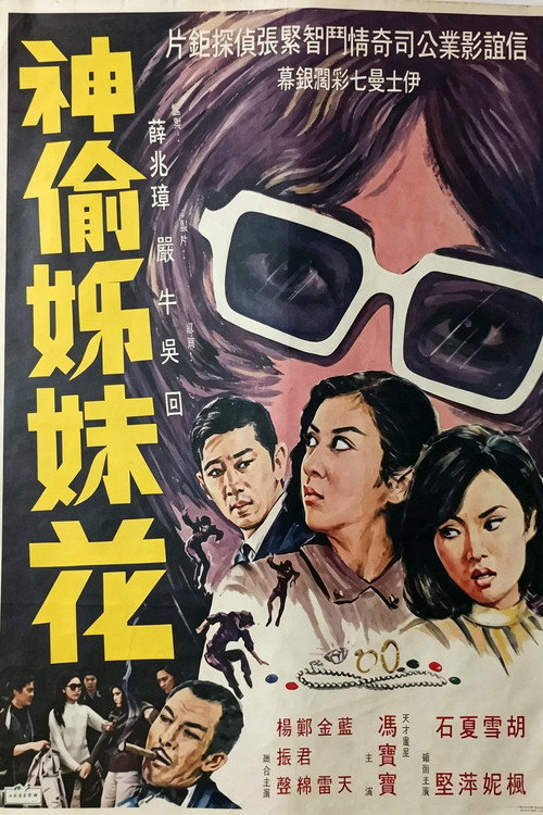 Póster de 神偷姊妹花