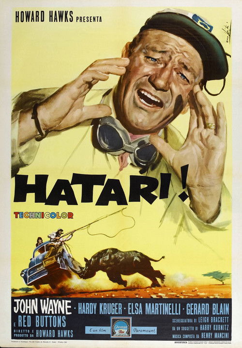 Póster de Hatari