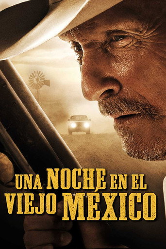 Póster de A Night in Old Mexico