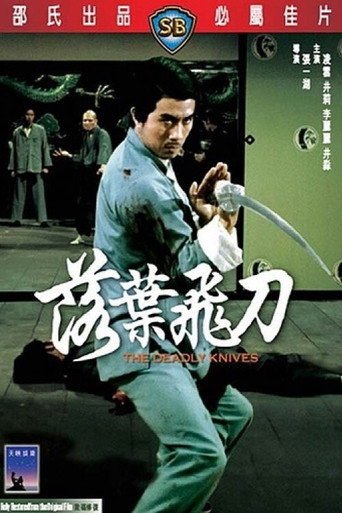 Póster de 落叶飞刀