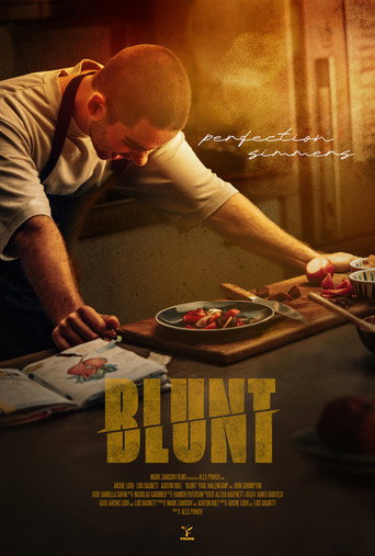 Póster de BLUNT