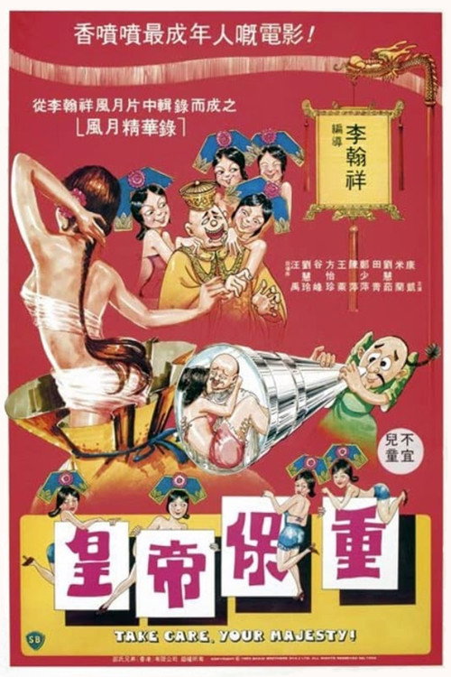 Póster de 皇帝保重
