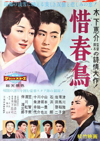 Póster de 惜春鳥