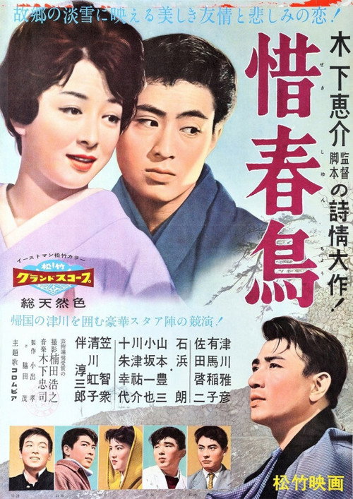 Póster de 惜春鳥