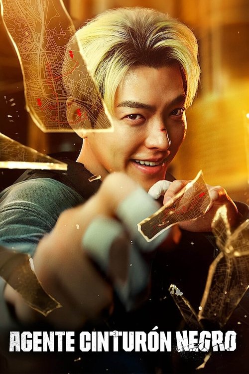 Póster de Agente cinturón negro