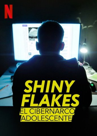 Póster de Shiny Flakes: El cibernarco adolescente