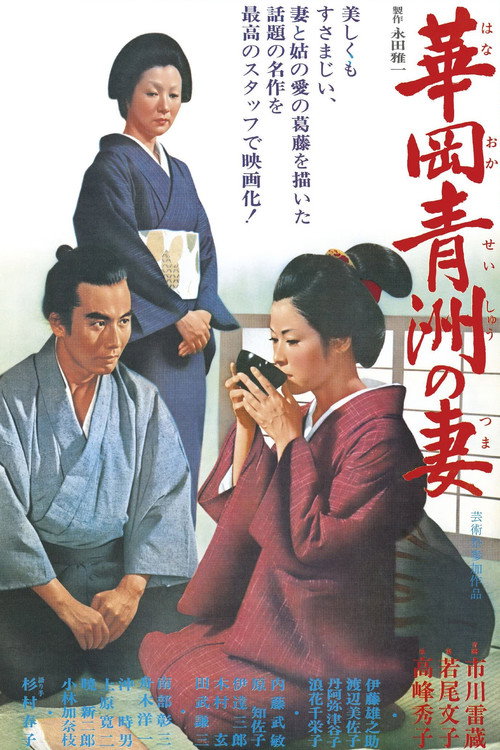 Póster de 華岡青洲の妻