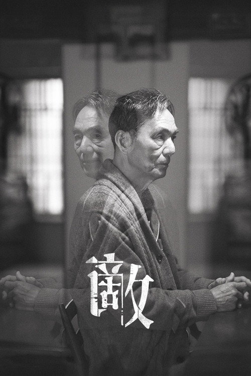 Póster de 敵