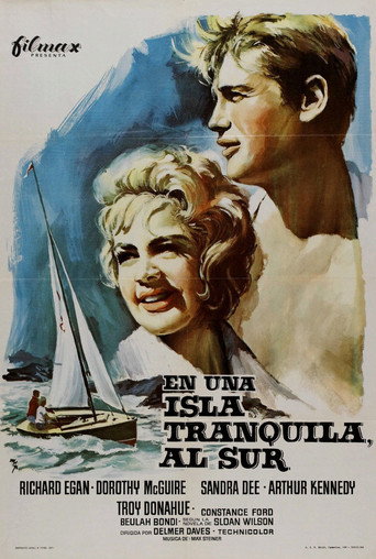 Póster de A Summer Place