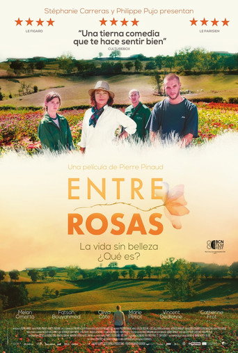 Póster de La Fine Fleur