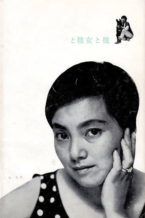 Póster de 彼女と彼