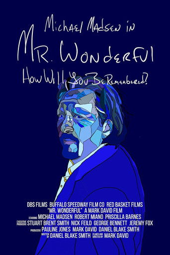 Póster de Mr. Wonderful