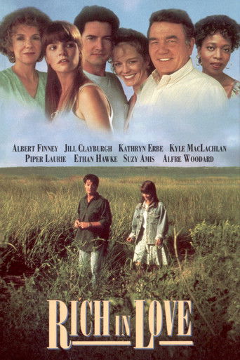 Póster de Rich in Love