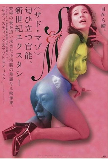 Póster de サディスティック＆マゾヒスティック