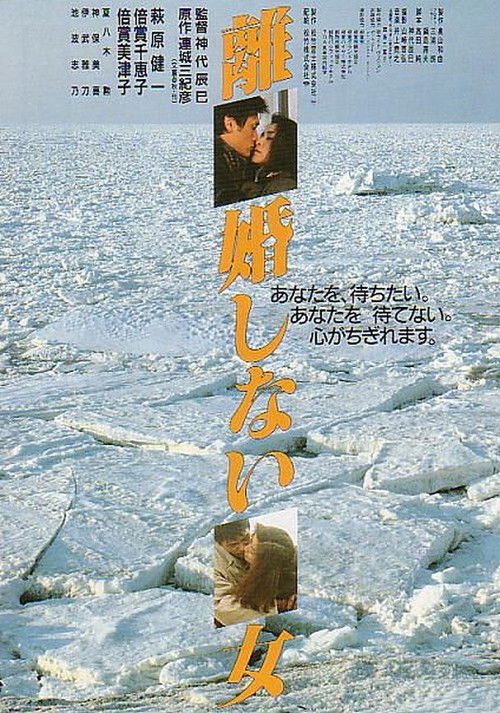 Póster de 離婚しない女