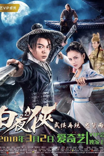 Póster de 白夜侠