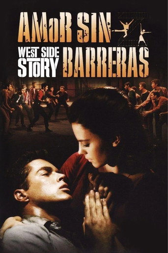 Póster de Amor sin barreras