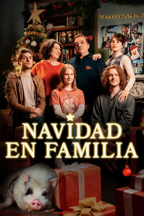 Póster de Un Noël en famille