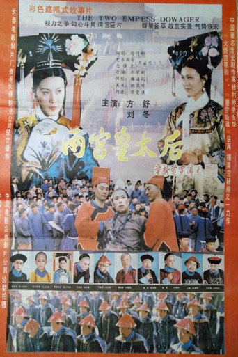 Póster de 两宫皇太后